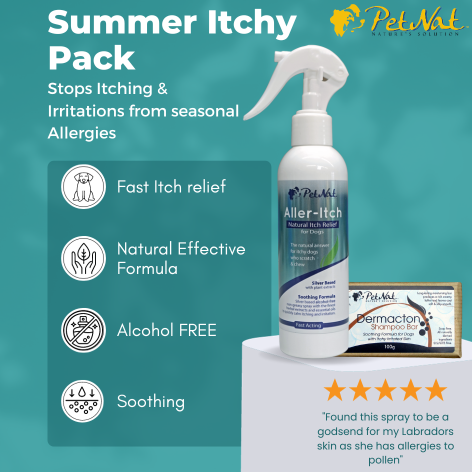 Summer Itchy Dog Pack
