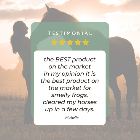 Aromafrog Hoof & Frog formula