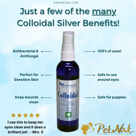 Colloidal Silver Spray