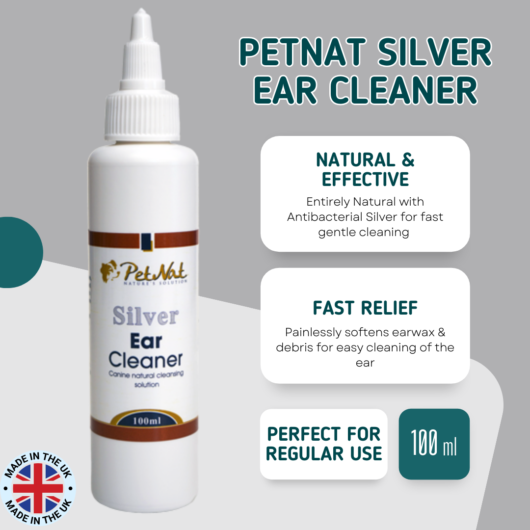 Silver Ear Cleaner