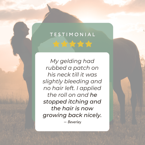 Aroma Pre-itch roll on for Horses