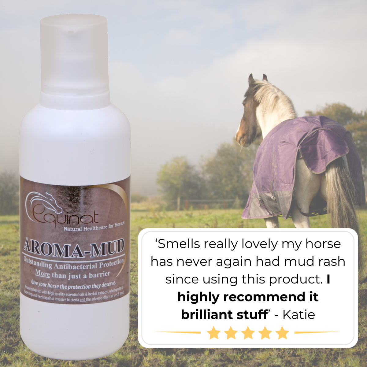 Aroma-Mud Barrier Plus for Horses