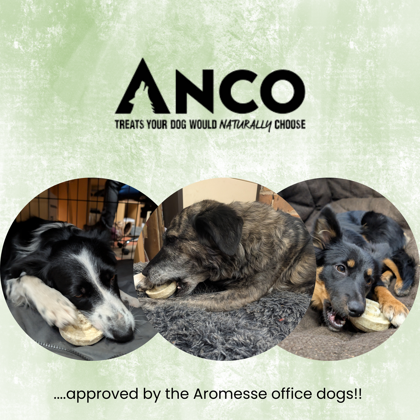 Anco Naturals Collagen Bagel Small