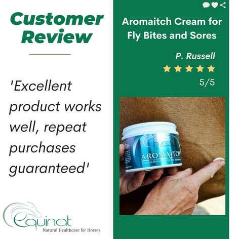 Aromaitch CREAM for equine fly bite sores
