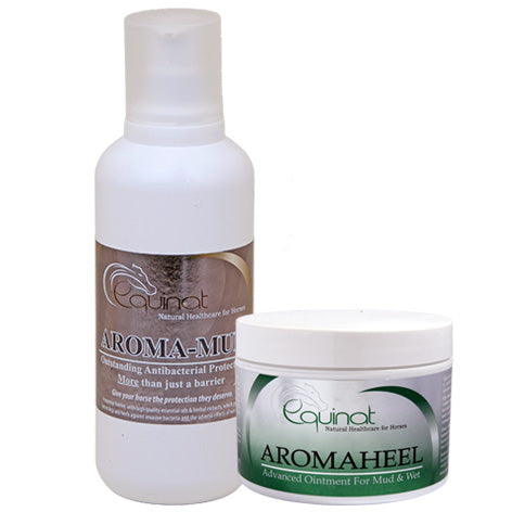 MUD Starter Pack for Horses