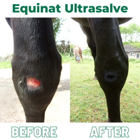 Ultrasalve (Equine) Advanced First-Aid Ointment