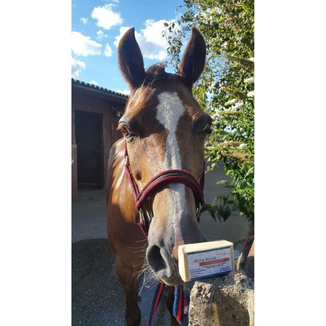 Itchy Horse Shampoo Bar