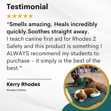 Petnat Ultrasalve first-aid ointment for dogs