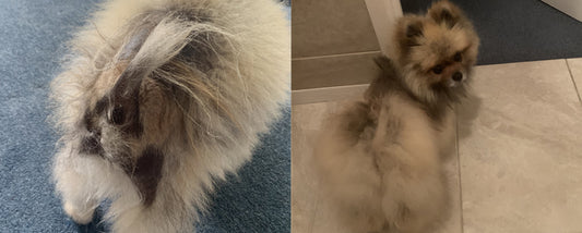 Oscar Before and After Dermacton