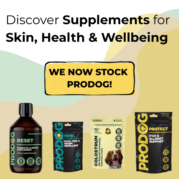 Supplements for Itchy Dogs