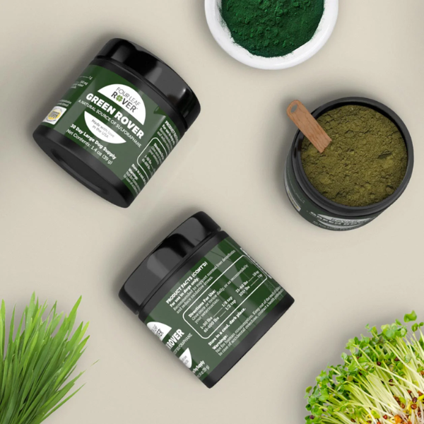 Green Rover 39g - Fermented Superfood greens