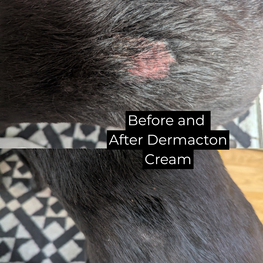 Itchy Dog Cream and First Aid Duo