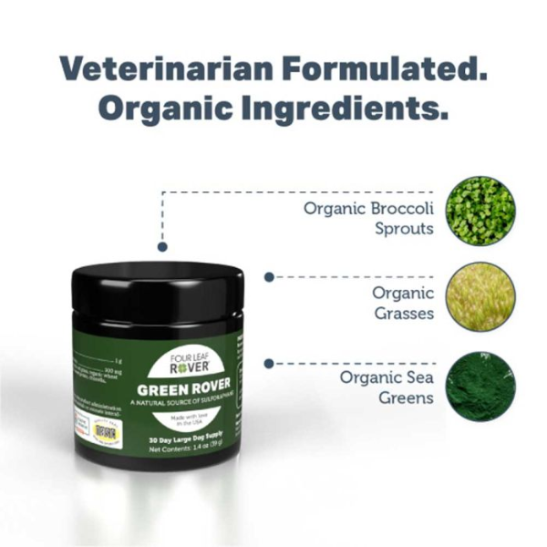 Green Rover 39g - Fermented Superfood greens