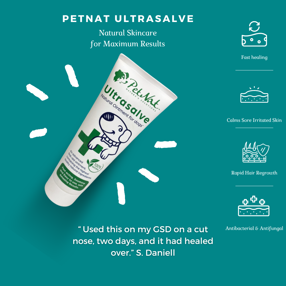 Itchy Dog Cream and First Aid Duo