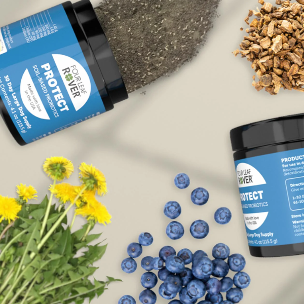 Protect 115.5g - Probiotic for Dogs