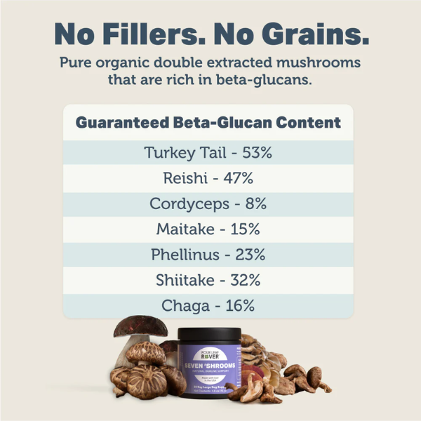 Seven 'Shrooms 51g - Immune Support