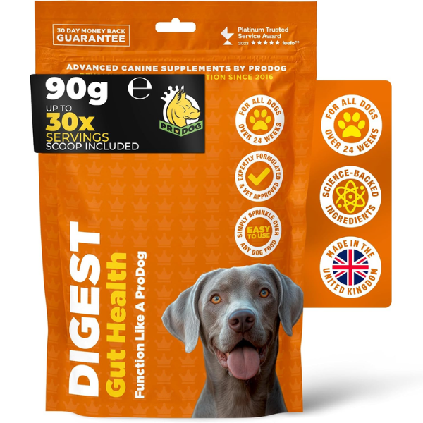ProDog Digest - Gut Health 90g