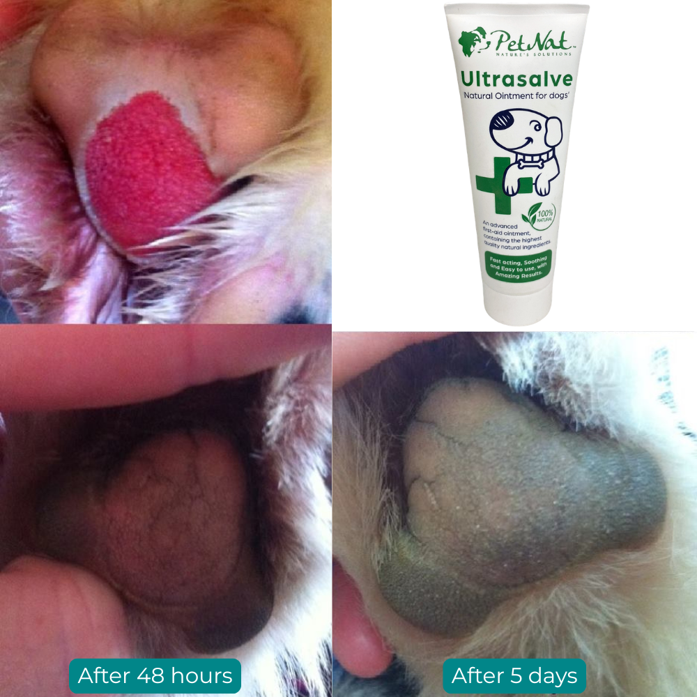 Itchy Dog Cream and First Aid Duo