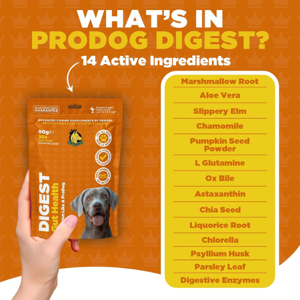 ProDog Digest - Gut Health 90g