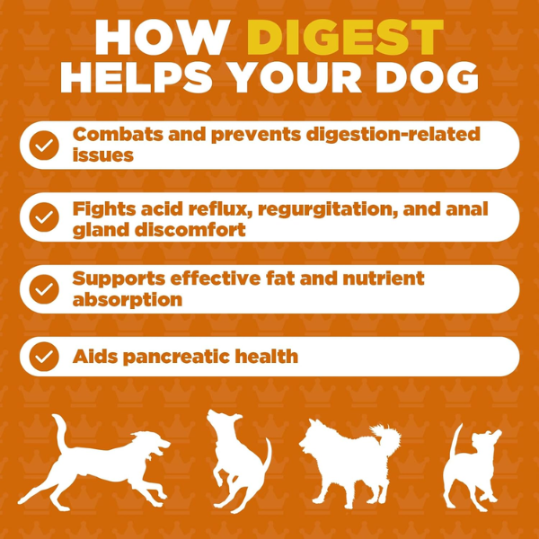 ProDog Digest - Gut Health 90g