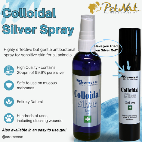 Colloidal Silver Spray