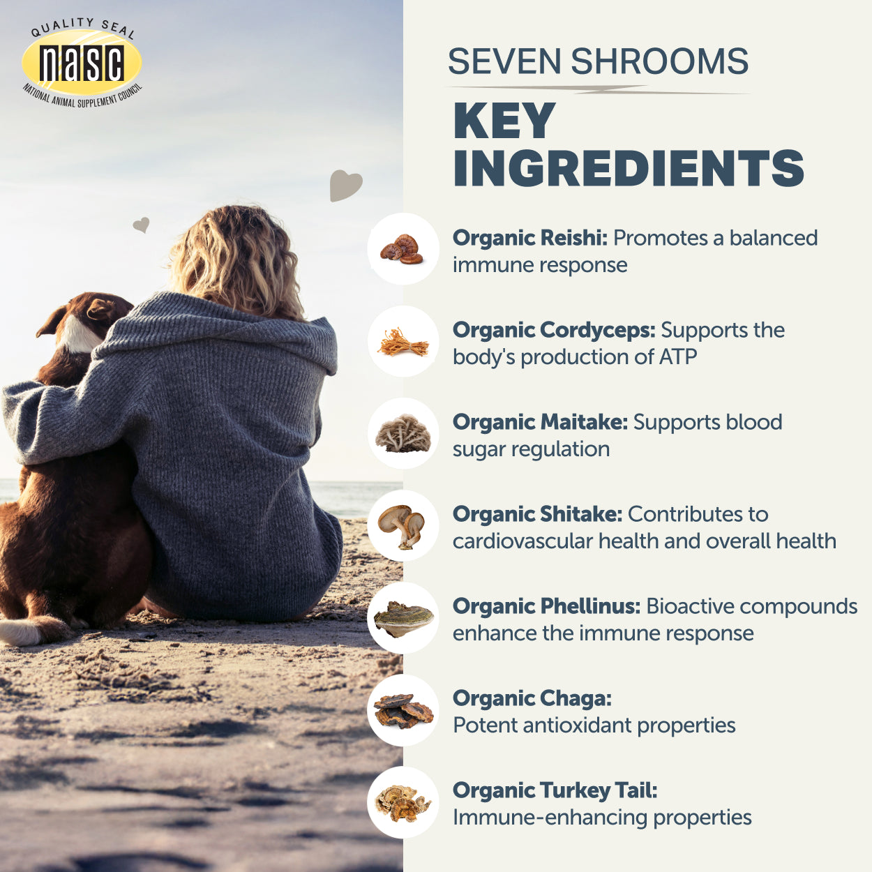 Seven 'Shrooms 80g - Immune Support