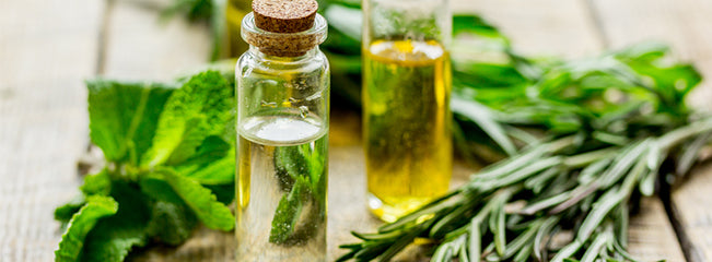 Aromesse Natural Skin Care Remedies for Dogs Cats & Horses