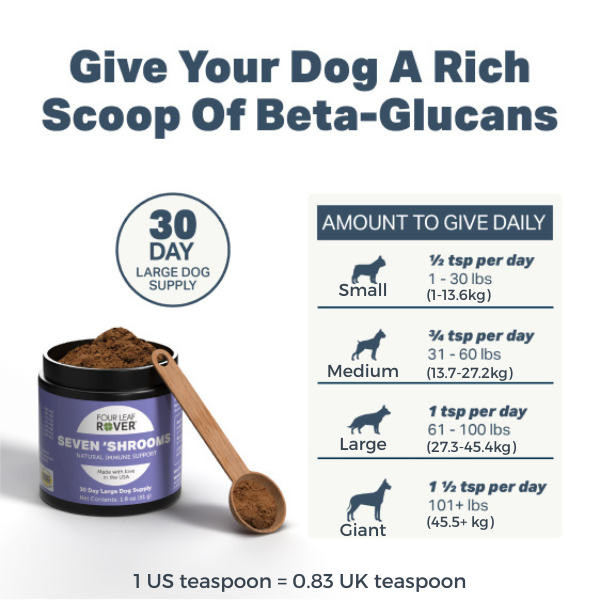 Seven 'Shrooms 51g - Immune Support