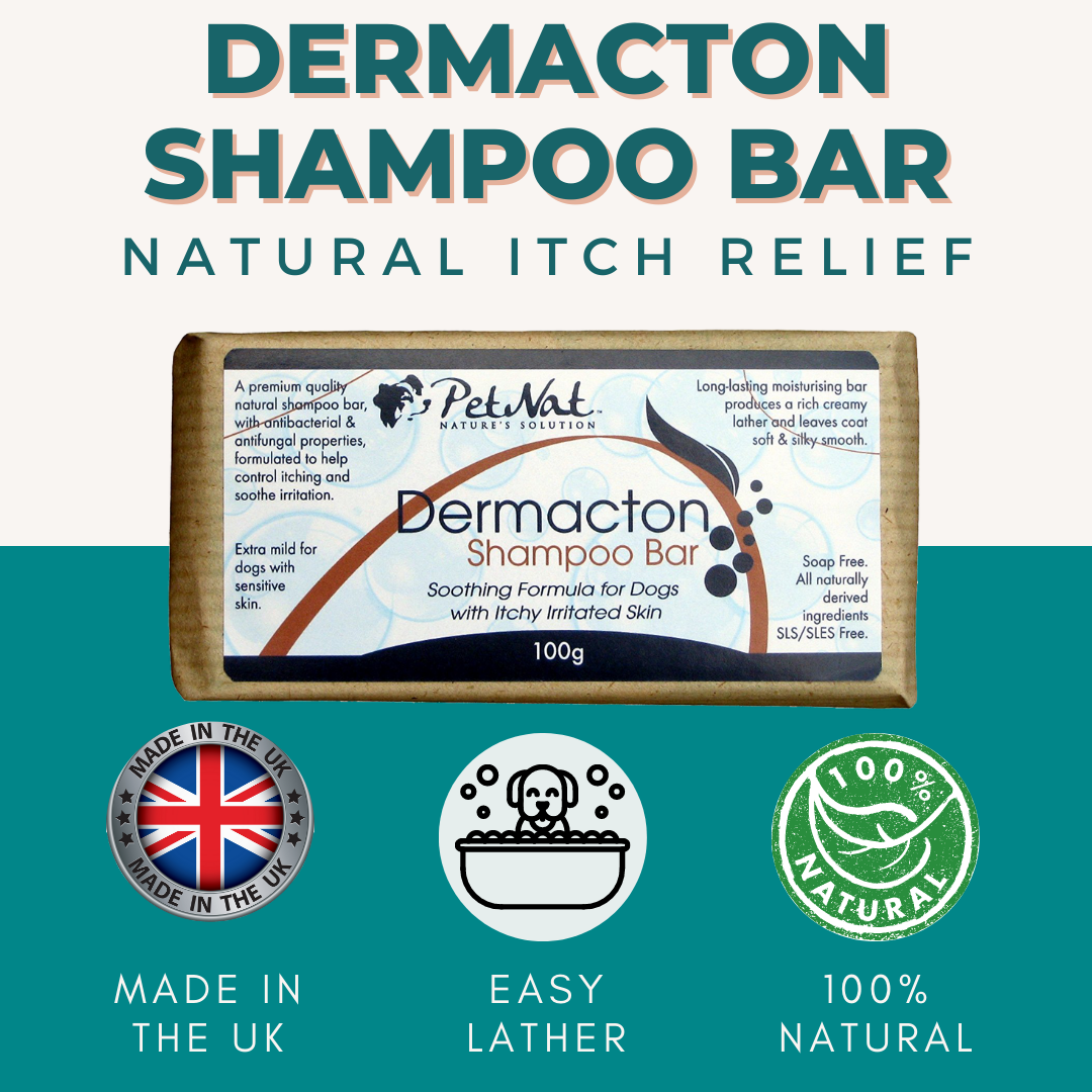 Dermacton Duo - Itchy Dog Shampoo & Spray