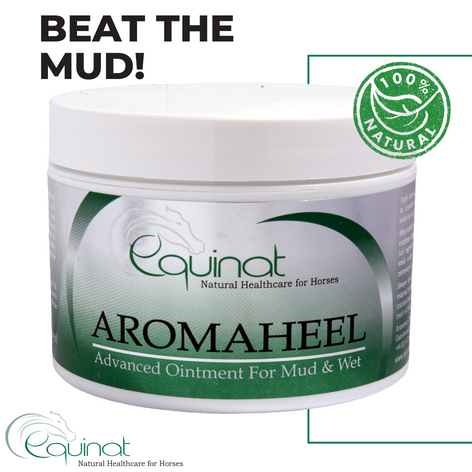 Aromaheel Mud Scab Remover for Horses – Aromesse