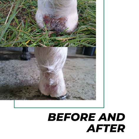 Aromaheel Mud Scab Remover