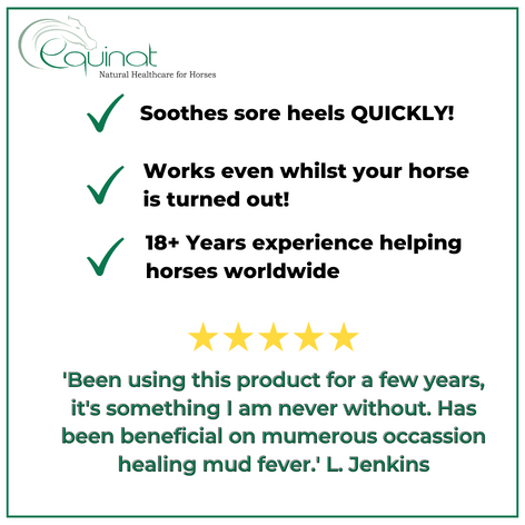 Aromaheel Mud Scab Remover for Horses – Aromesse