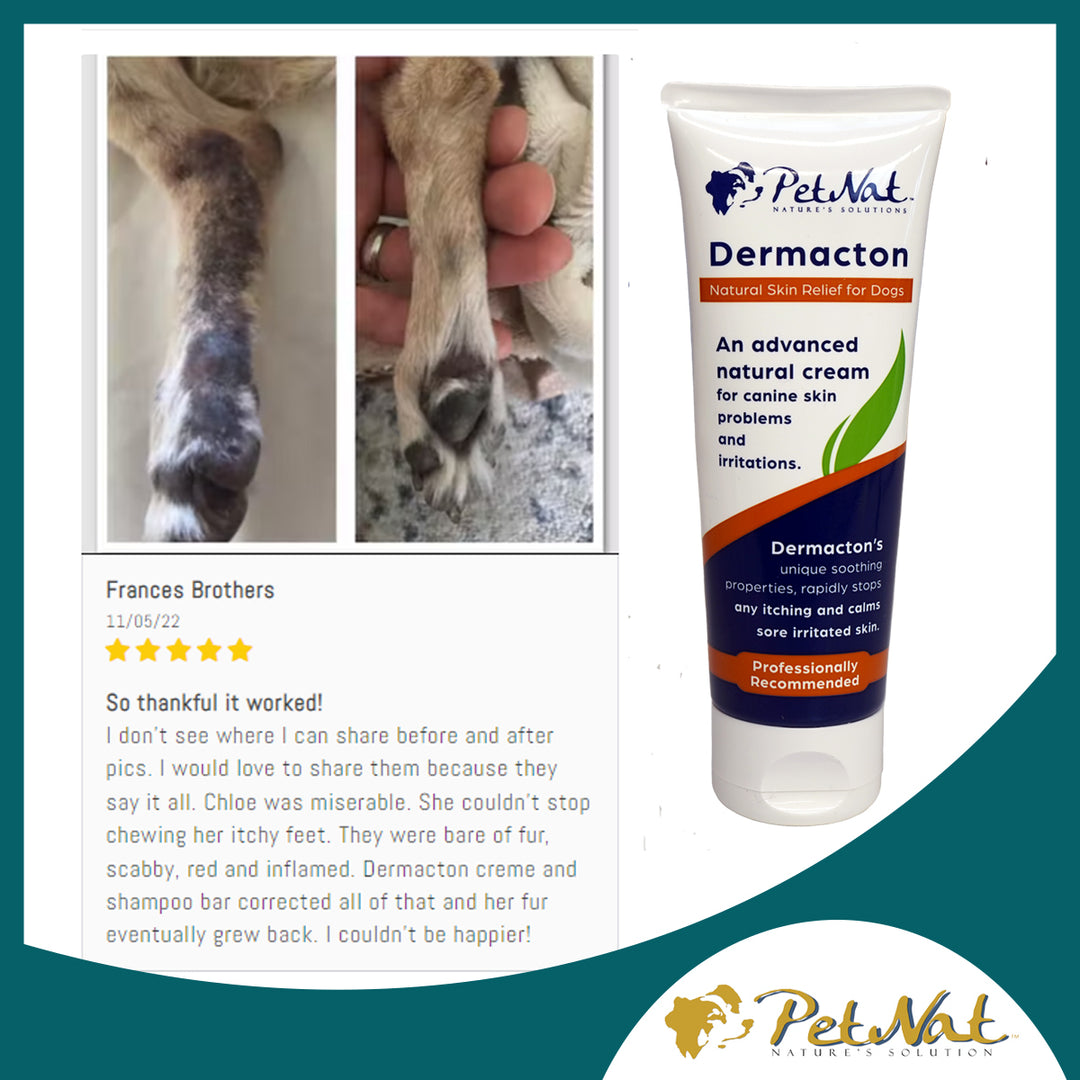 Dermacton Cream for Itchy Dogs Aromesse