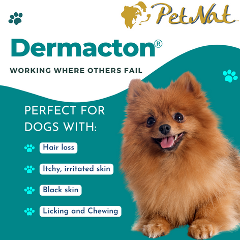 Dermacton Spray for Itchy Dogs