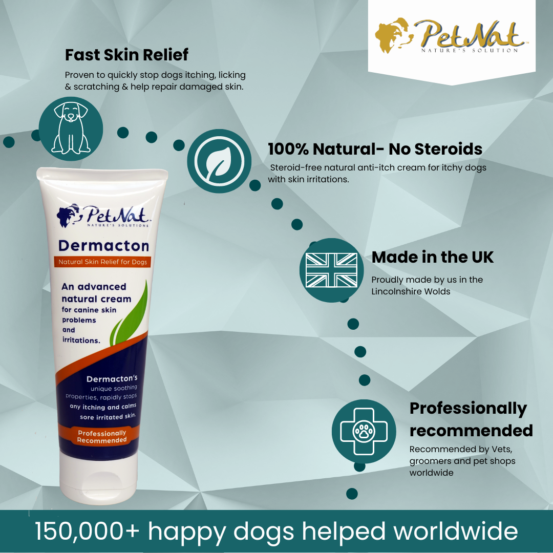 Anti itch deals cream for dogs