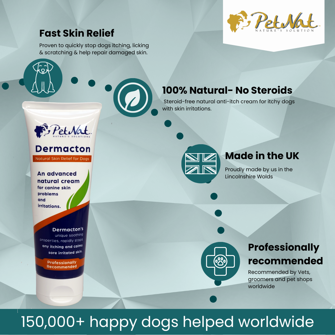 Dermacton Cream for Itchy Dogs – Aromesse